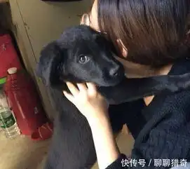 搞笑图片幽默段子笑话你是如何保持身材的,你这饭量也太大了
