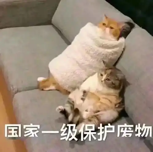 当你放假后在父母面玩手机哈哈哈我感同身受
