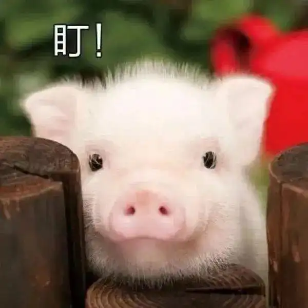 搞怪风格微信qq头像
