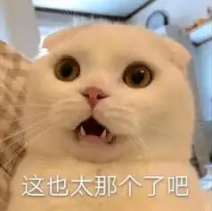 我,20岁,已经搞不来花里胡哨的电子化产品了
