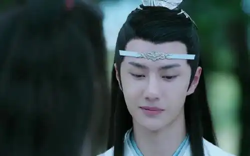 陈情令魏无羡是最后的赢家,还是蓝忘机是最后的赢家呢
