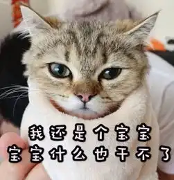 全新猫咪斗图表情包来啦