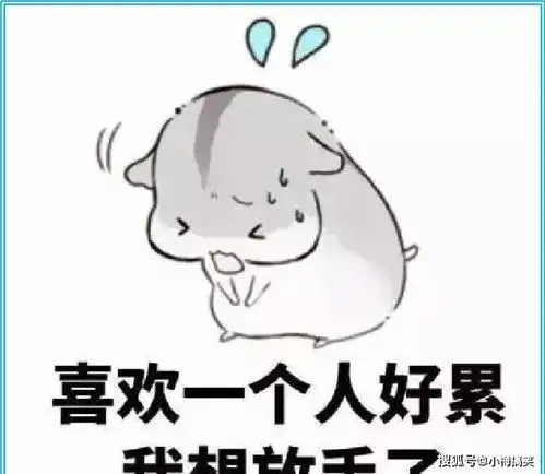 幽默图片搞笑段子喜欢一个人的全过程,爱情,真是让人搞不懂
