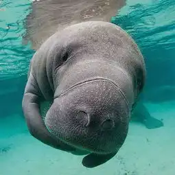 推荐巴黎既便宜又好玩的动物园水族馆植物园宝妈必看
