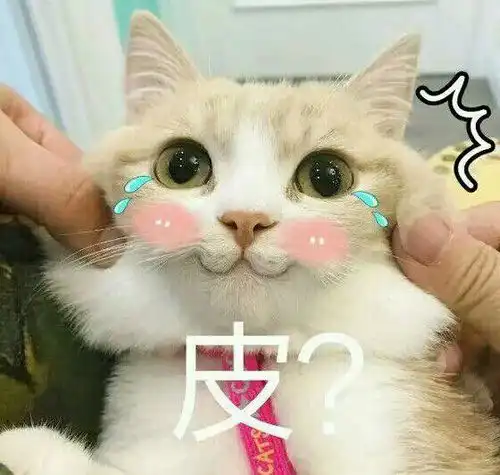 声乐专业出国留学俄罗斯还是意大利的音乐学院比较好呢
