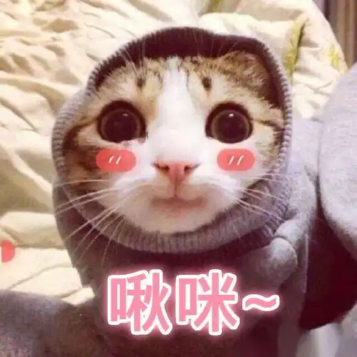 全体泰兴人注意6个好消息,哪个你最期待
