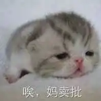 如何看待3月2号知乎崩了
