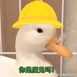 杉菜是属鸭子的吗我要是道明寺都得被她吓死
