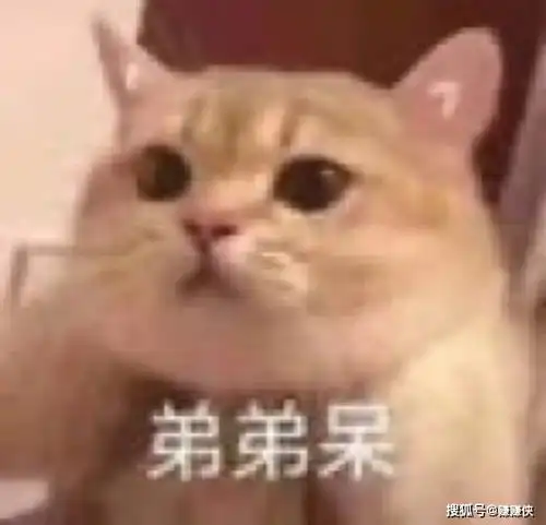 搞笑表情包图片偷听情话,你为什么不泡我,笑死我了
