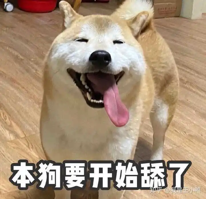 搞笑舔狗语录来袭,逗你一笑
