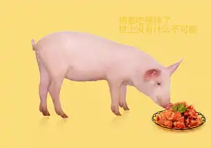 ps教程搞笑的猪吃猪排
