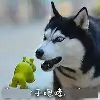 沙雕表情包i有种你来咬我呀
