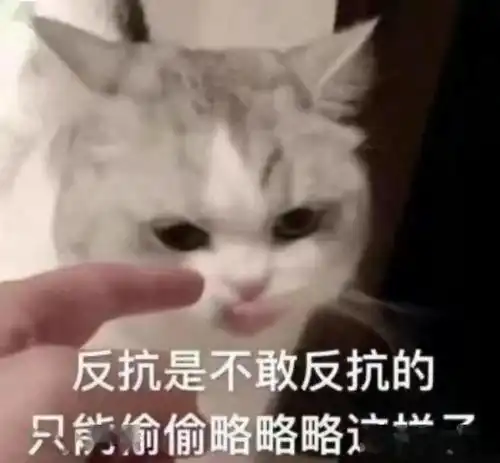 只能选一个菜,不同地域的人究竟会选什么菜就白米饭
