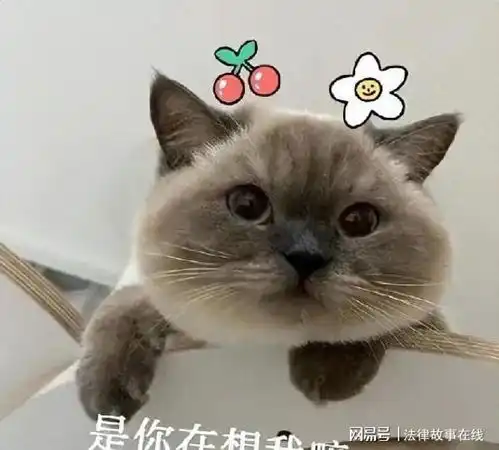 受猫咪欢迎的人,一般都有哪些特征,第三你绝对想不到
