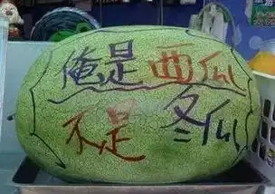 彪悍的妹子不需要解释
