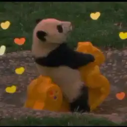 暗恋对你何止这一句钟意
