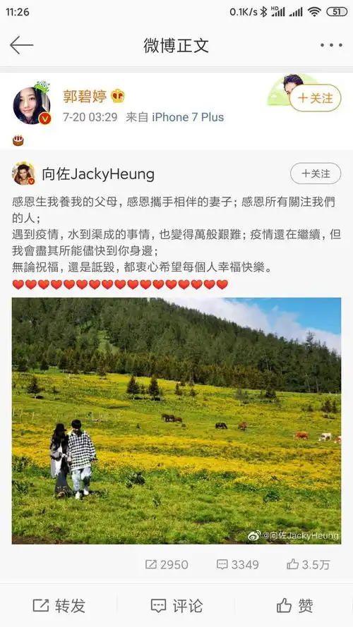 向太官宣郭碧婷怀孕,向佐母子长篇大论,郭却只回个表情包
