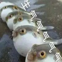 非常生气的表情包微信头像图片大全
