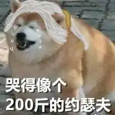 优实习只需实习一个月,帮你解决毕业实习的烦恼短期实习专场