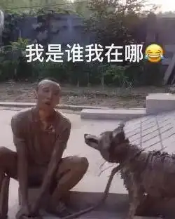 30张搞笑图片大合集,真的是笑疯了
