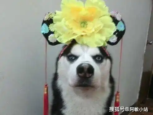 搞笑段子哥们约见女网友,两人都很开心,睡醒发现认错人了
