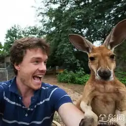 最搞笑的人与动物自拍
