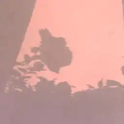 早安心语生活,一半是回忆,一半是继续人生
