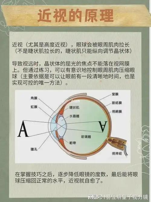 揭秘近视眼探索其原理成因与预防方法
