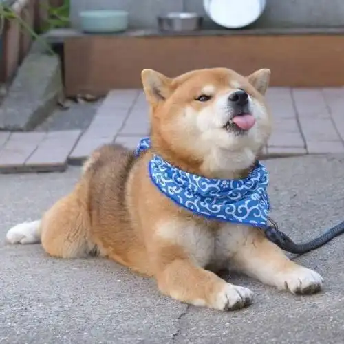 搞笑我们是认真的,快来乐一乐吧
