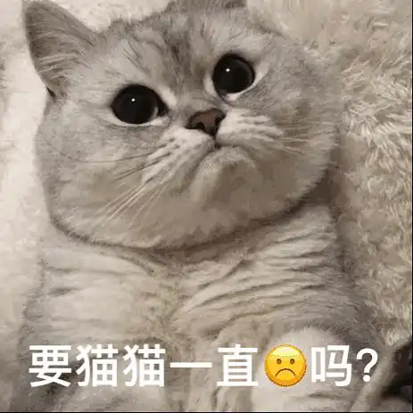 我就问还有谁巅峰赛没赢过