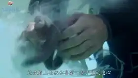 全球最搞笑的闹钟,真能闹看谁还敢懒床,闹钟什么的都弱爆了