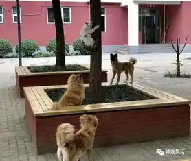 搞笑图片程序员鼓励师,老板我们什么时候推广.
