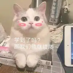 寰宇城环推开门,与世界接轨
