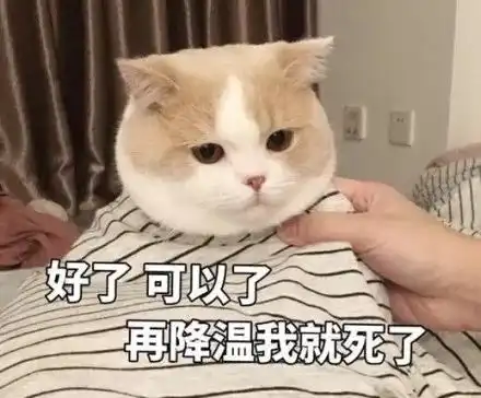 冷到发抖大势女团一身超短裙亮相舞台表演看着就冷....
