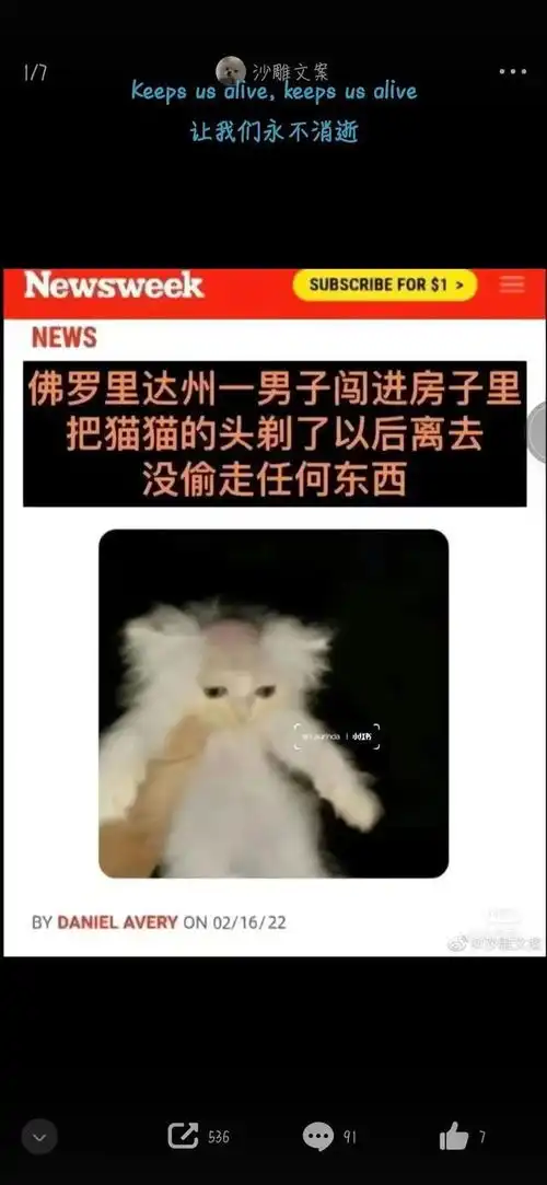 这棵树看起来非常适合我上吊
