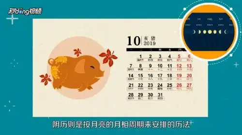 怎样区分阳历和阴历