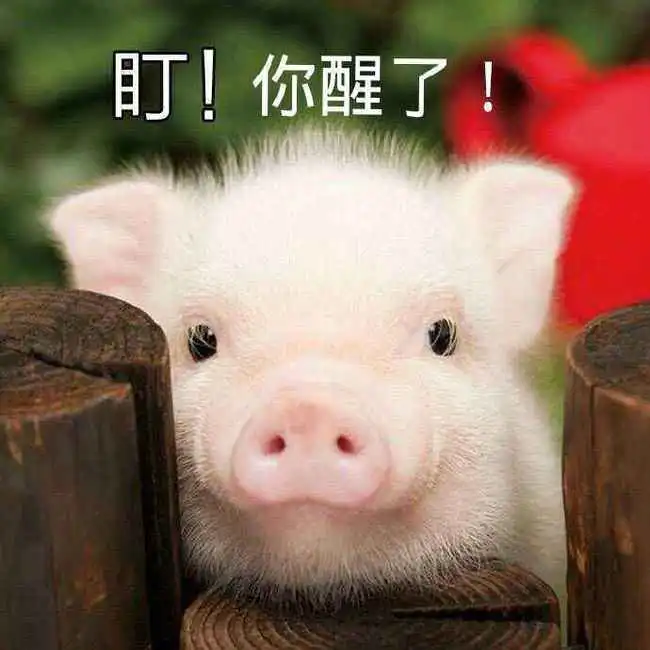 爆笑段子小时候比较淘,挨打无数
