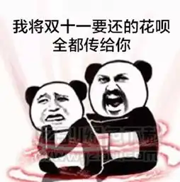 双11,我的预算vs土豪的预算丨爆笑囧图

