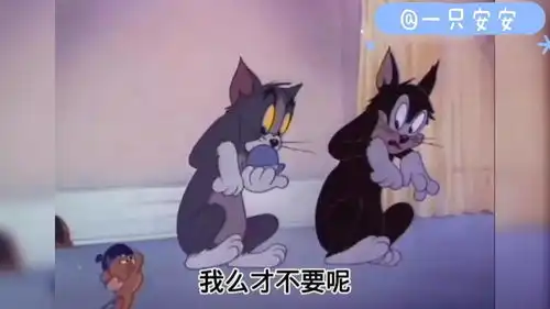 搞笑配音猫和老鼠,爆笑来袭
