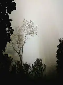 成都的雾霾严重到什么程度,几张图片带你切身感受
