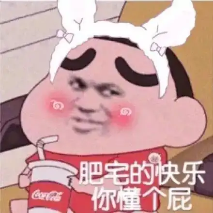 蜡笔小新搞笑表情包肥宅的快乐你懂个p
