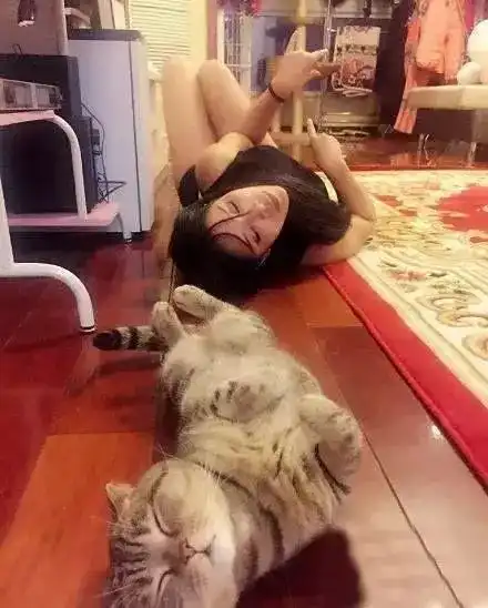 搞笑gif妹子,我看着你吃就行,我是真吃不下去了
