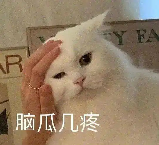 出轨外围都能忍她才是忍者神龟吧
