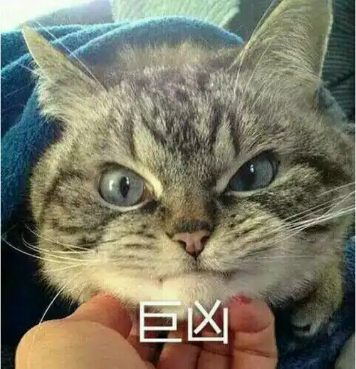 发型
