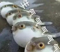 竹类药竹竹辈辈全是药
