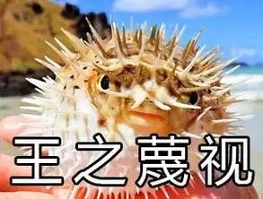河豚表情包搞笑生气