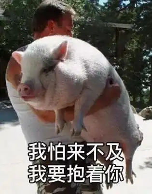 寒假ing,论肥宅如何带我出门浪
