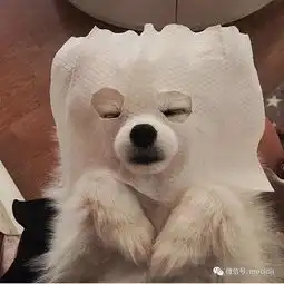 敏感肌大作战
