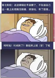 关于睡觉的几个阶段,全中
