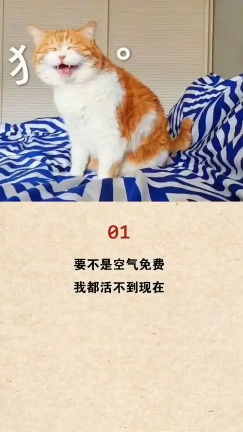 形容自己很穷的搞笑句子
